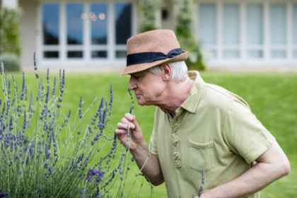 Leonardo Rocha de Almeida Abreu apresenta o charme da Provença com seus inesquecíveis campos de lavanda.