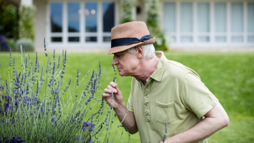Leonardo Rocha de Almeida Abreu apresenta o charme da Provença com seus inesquecíveis campos de lavanda.