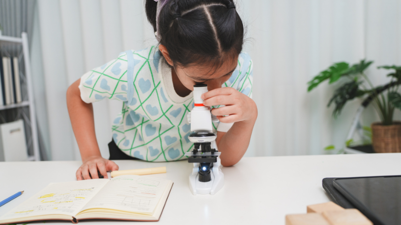 Sigma Educação e Tecnologia Ltda
